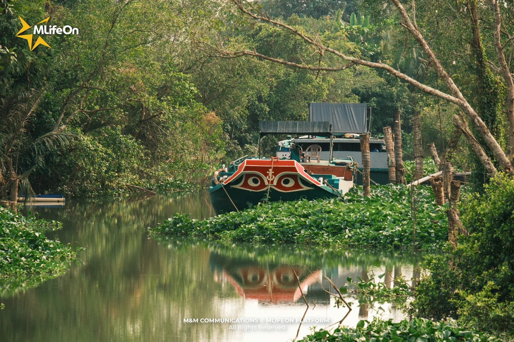 MLÌEON_WEB_T11_CHO LACH-16.jpg