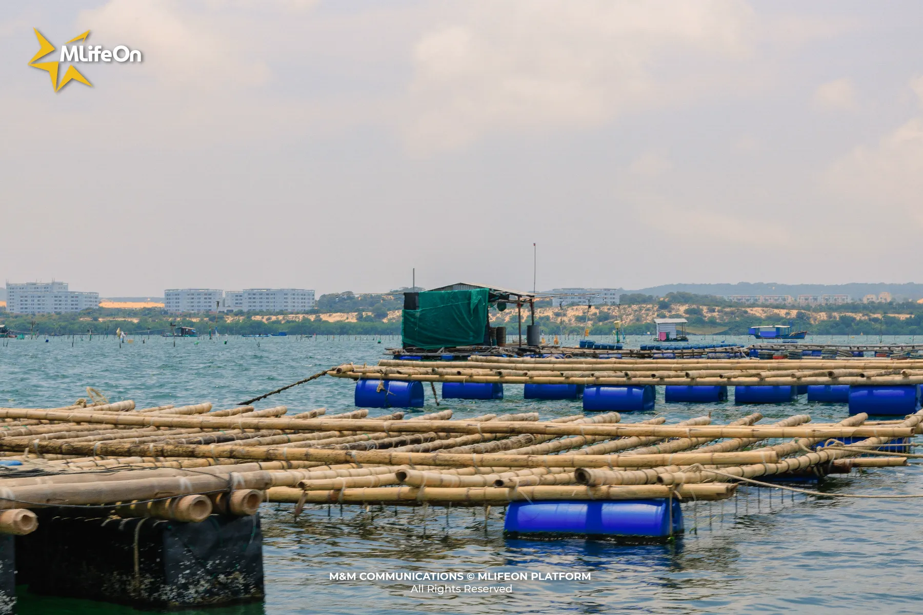 MLIFEON_WEB_T12_BIEN CAM RAH-05.jpg