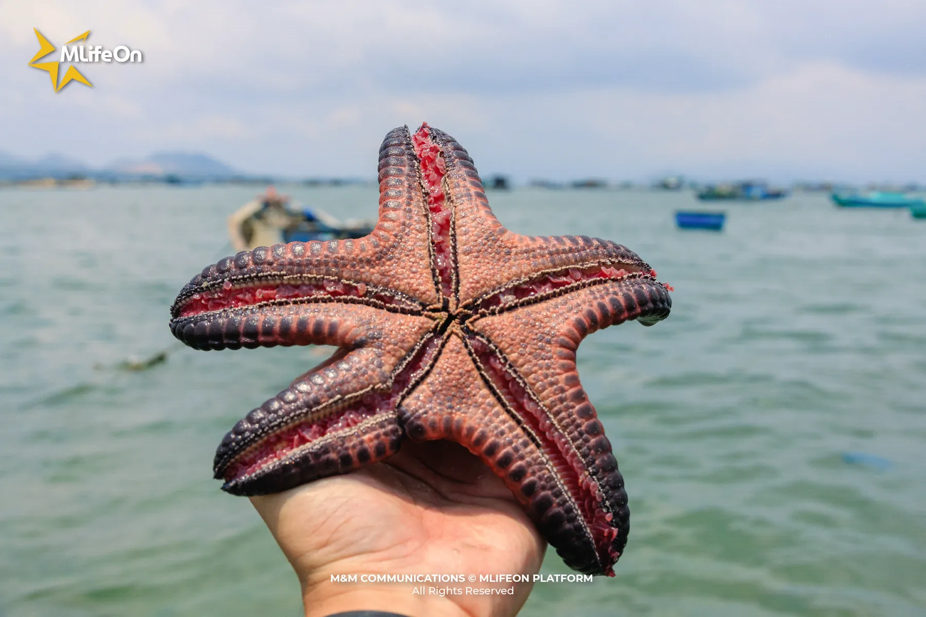 MLIFEON_WEB_T12_BIEN CAM RAH-10.jpg